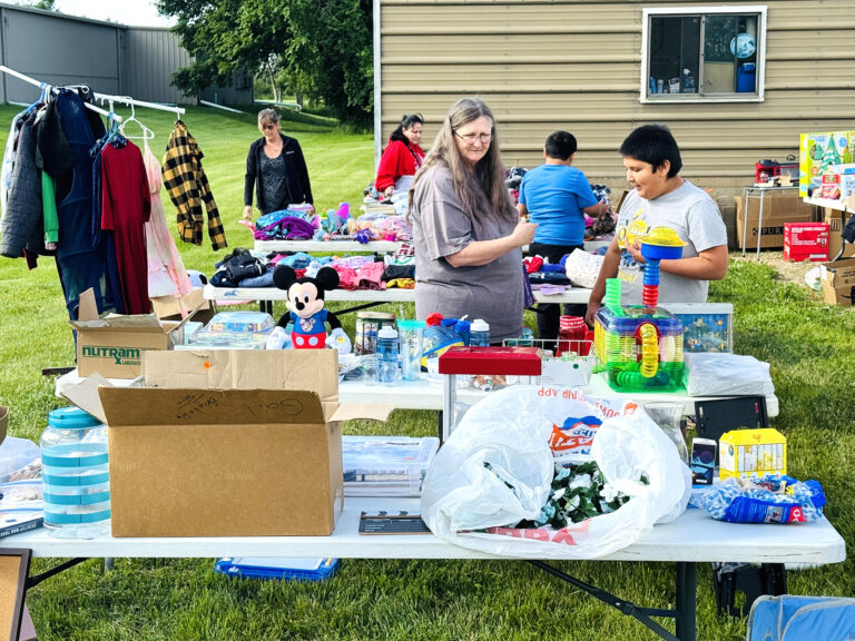 PHOTO OF THE DAY IN SEARCH OF TREASURES The Courier